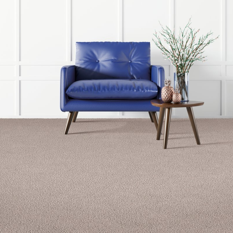 Bisbee's Flooring Center provides easy stain-resistant pet proof carpet in McFarland and Sun Prairie, WI. - Coastal Fashion I- Shoreline